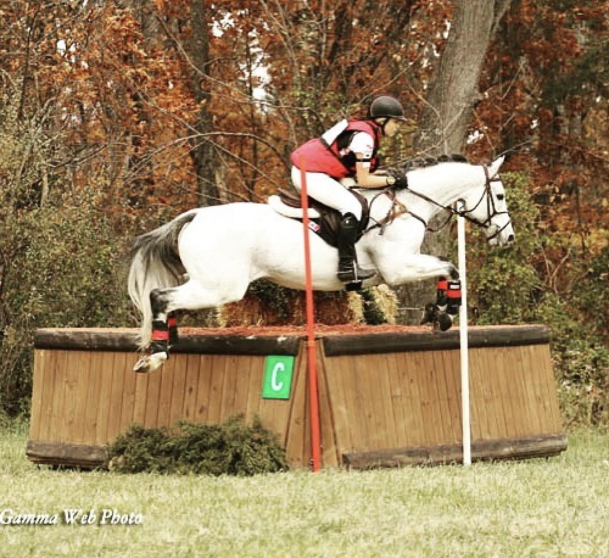 McDreamy Lower Level Packer « Sport Horse Nation