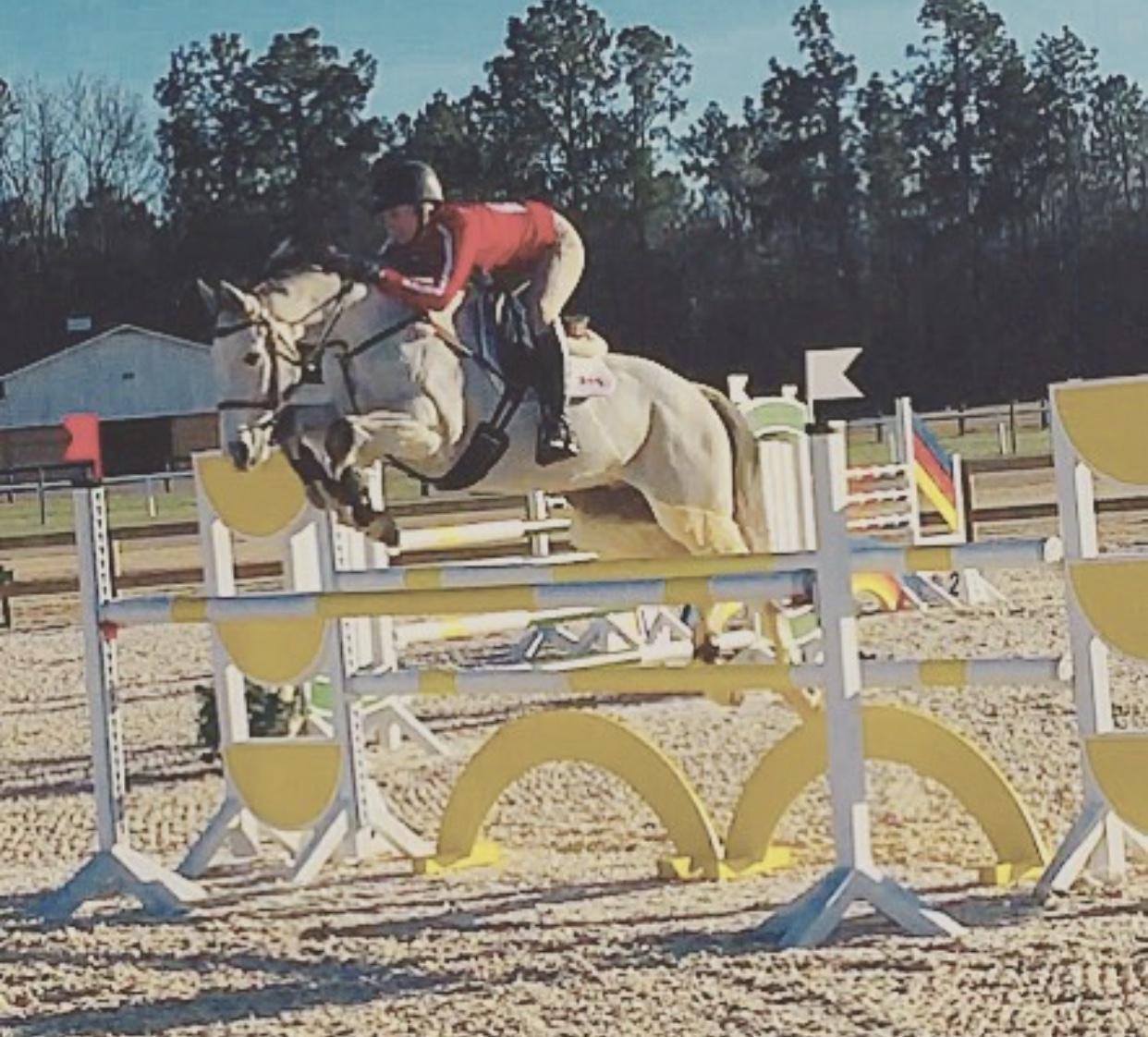 McDreamy Lower Level Packer « Sport Horse Nation