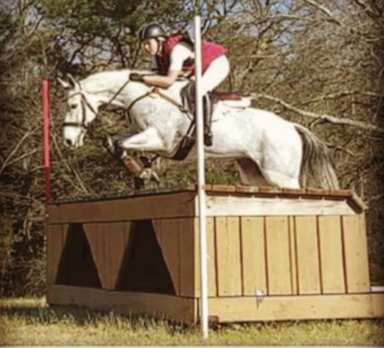 McDreamy Lower Level Packer « Sport Horse Nation