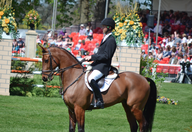 Clark Montgomery and Universe at Badminton in 2012. Photo by Jenni Autry.