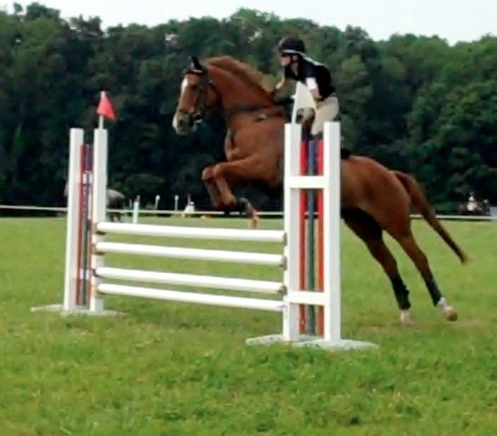 STADIUM Eventing Nation ThreeDay Eventing News, Results, Videos