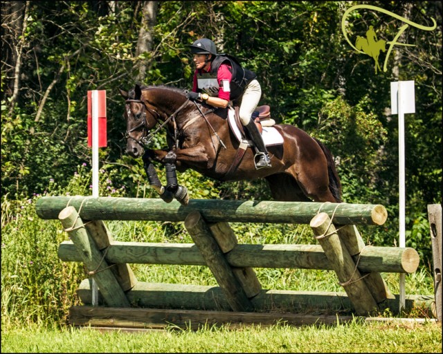 Andrea Waldo and  Serendipity Traveller in the Open intermediate at GMHA last year. Used with permission from Flatlandsfoto.