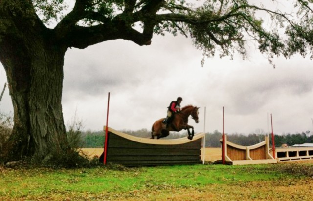 Tiffani Loudon-Meetze and Hap clearing the second-to-last jump at the February 26 Full Gallop H.T. (Aiken, SC). Photo by Wylie.