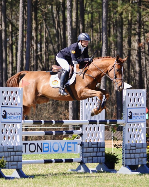 Michael Pollard and Ballingown Pizazz at Carolina International. Photo by Jenni Autry.