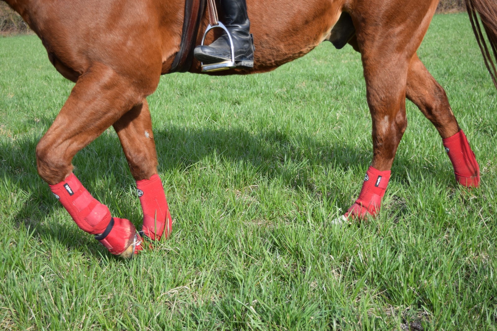 professional choice bell boots sizing