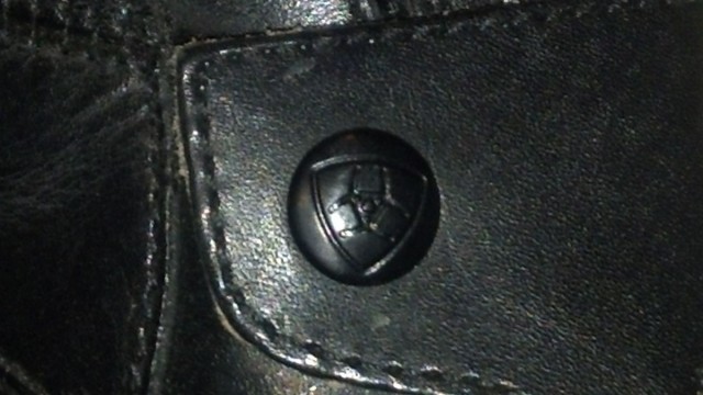 Details, details--the Ariat logo displayed on one of the back zipper guards on the Volant boot