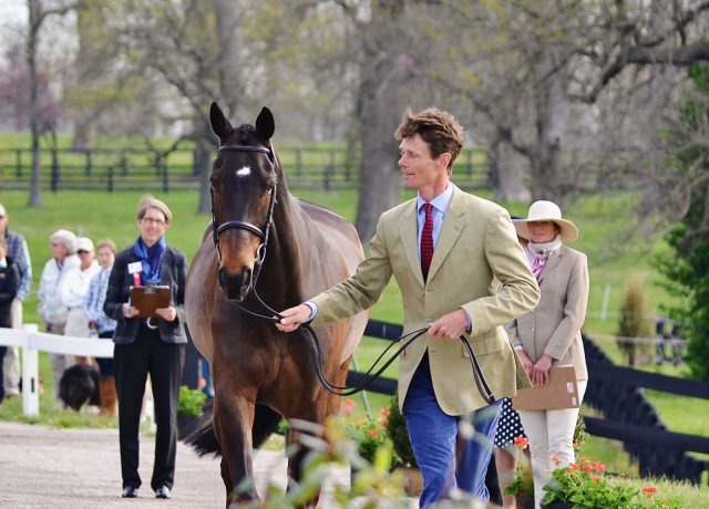 William Fox-Pitt and Bay My Hero. Photo by Jenni Autry.