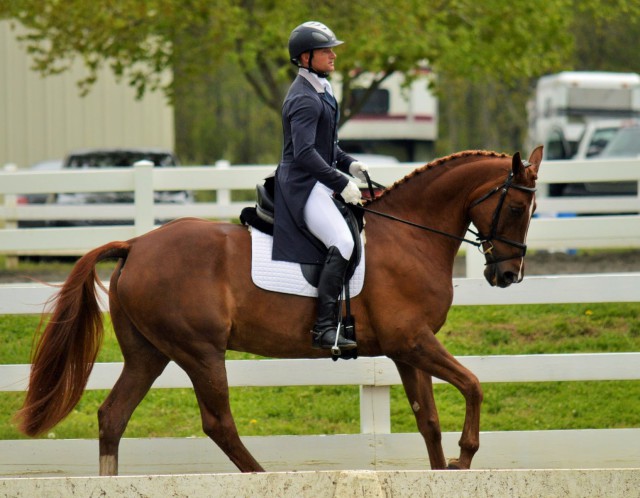 Michael Pollard and Ballingowan Pizazz. Photo by Sally Spickard.