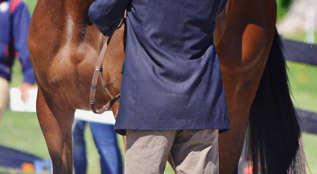 Which Rolex rider belongs to this bum? Photo by Jenni Autry.