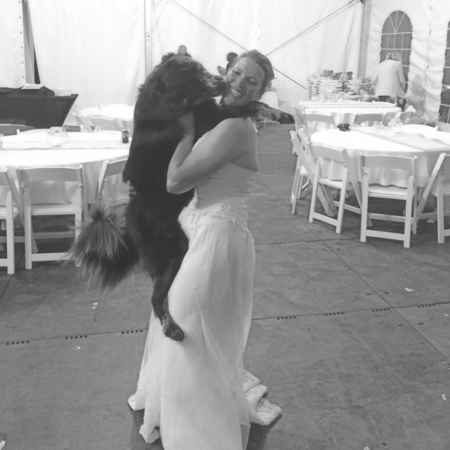 Wedding Dog