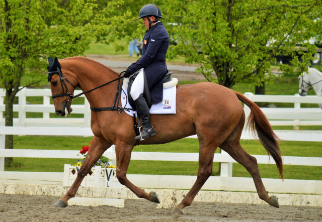 Buck Davidson and Copper Beech. Photo by Sally Spickard.