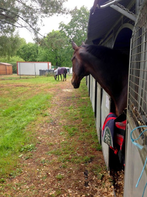 Tali checking out his new neighbors. Photo by Doug Payne.