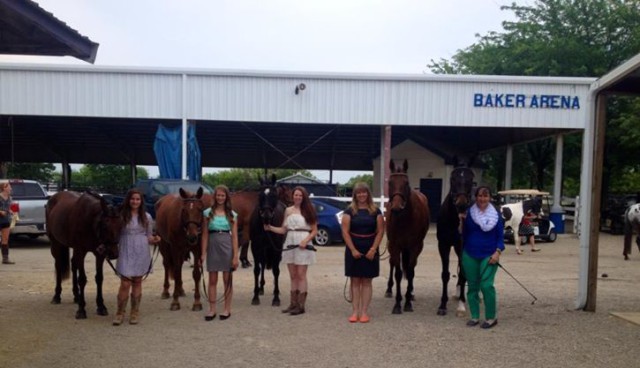 All 5 horses from LeCheval Pass the 1st horse inspection: Photo Credit Debbie McBride