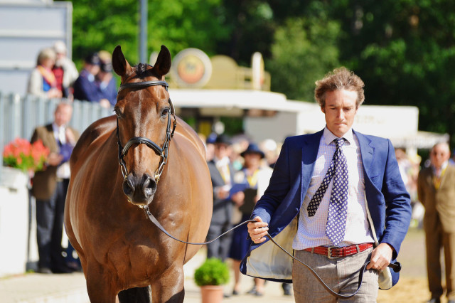 Constantin Van Rijckevorsel and Goodwins Reef. Photo by Jenni Autry.