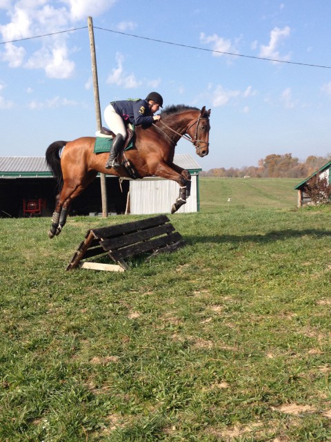 Learning to jump baby coops