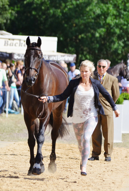 Jonelle Price and Classic Moet. Photo by Jenni Autry.