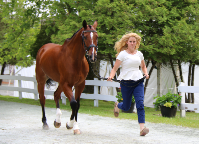 Mackenna Shea and Landioso at yesterday's jog. Photo by Leslie Wylie.