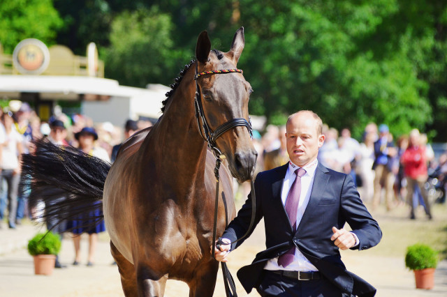 Michael Jung and fischerRocana FST at Luhmühlen. Photo by Jenni Autry.