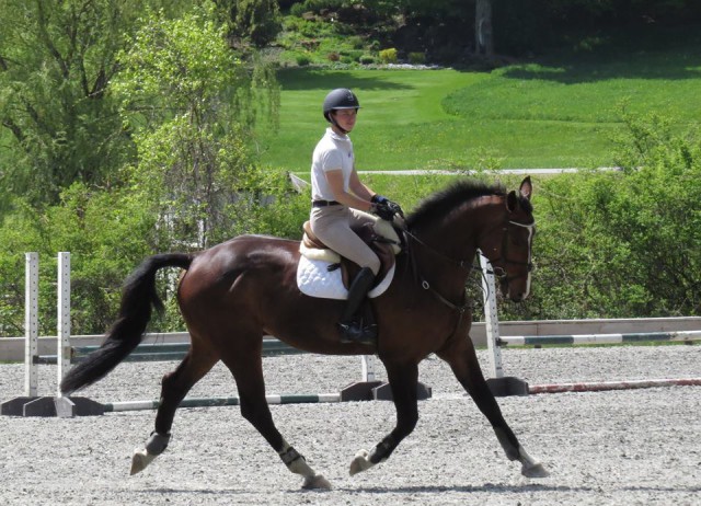 Skybreaker spring jumper show at GMHA 2014