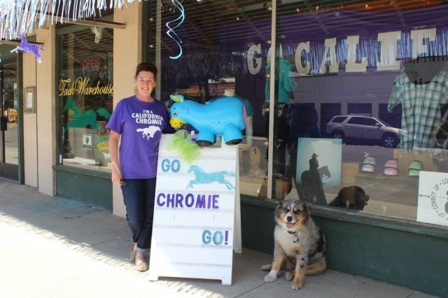 Tack Warehouse in Woodland, CA is having a Belmont Party for hometown hero California Chrome! Photo from Tack Warehouse's Facebook Page