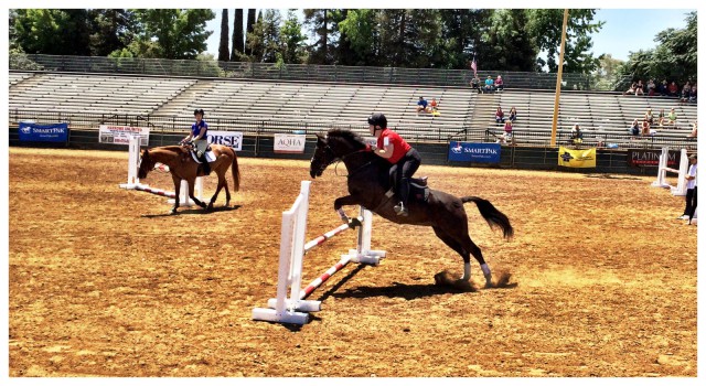 Akira Beijing at Horse Expo. Photo by Charlie Critz