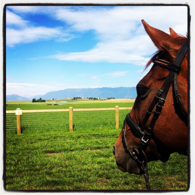 Sunny taking it all in.  Photo by Jessica Kerschbaumer