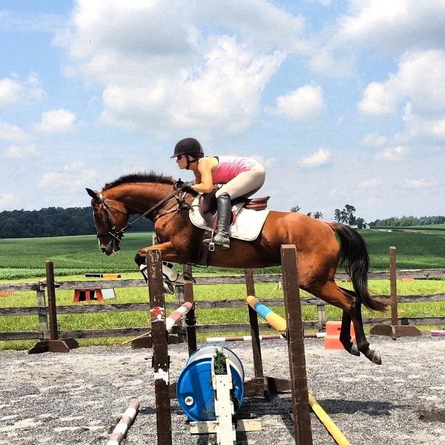 One of the cutest horses competing this weekend at Maryland HT: PL Trinity, offered for sale by Defying Gravity Eventing.