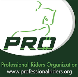 PRO logo