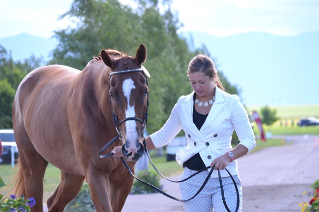 Katie Frei and Houdini during the CIC3* horse inspection. Photo by Chesna Klimek.