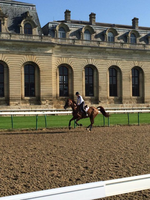 Sinead and Tate gallop at Chantilly Racecourse. Photo from USEF High Performance Facebook.