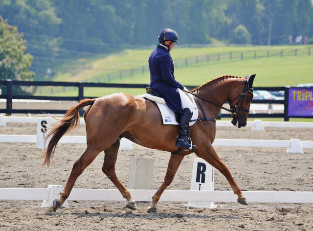 Buck Davidson and Copper Beech. Photo by Jenni Autry.