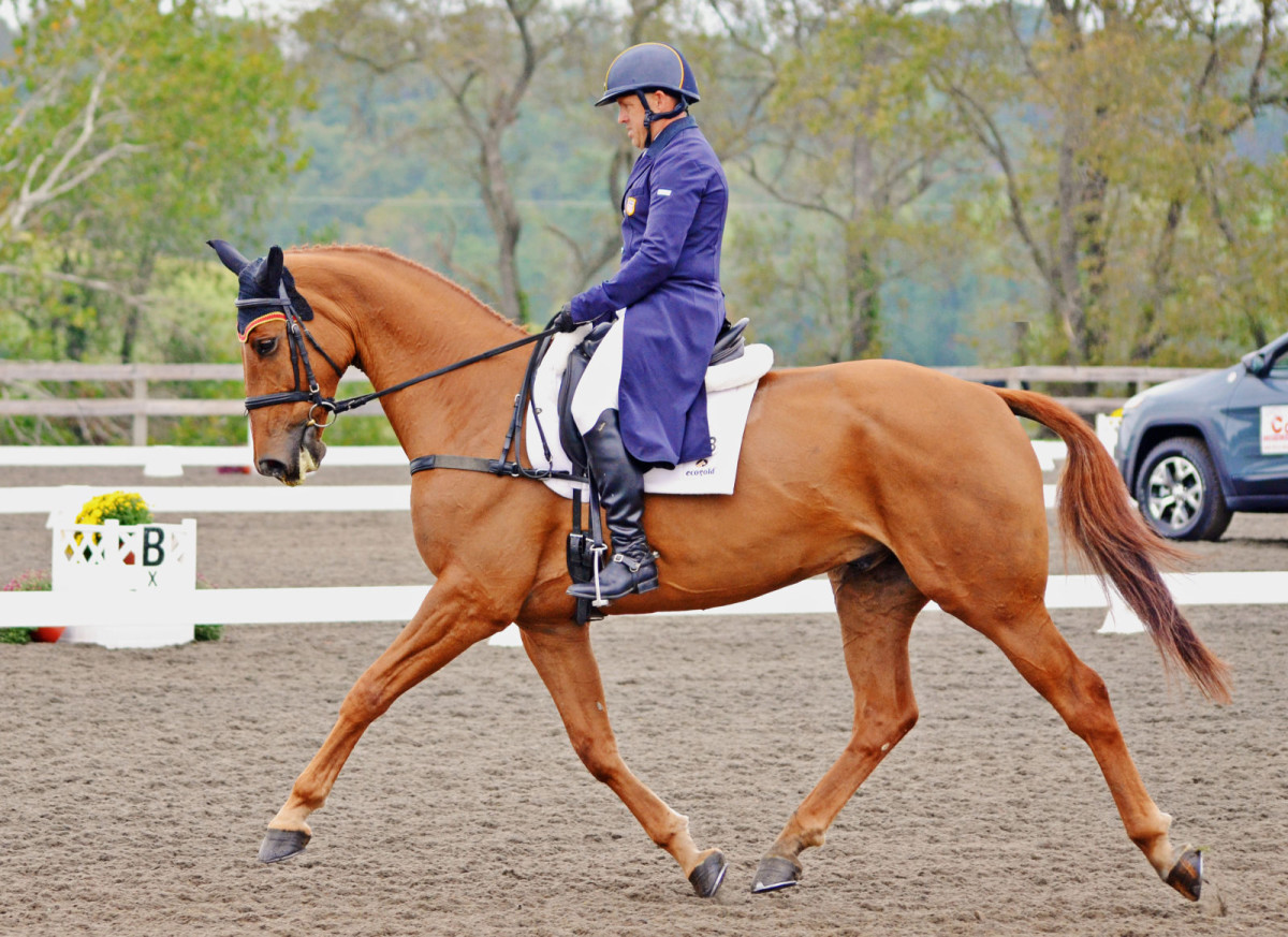 Galway Downs CCI3* Entries Go Live; Buck, Boyd Heading West Eventing