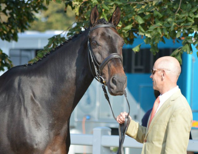 Andrew Hoy and Cheeky Calimbo at the first horse inspection. Photo courtesy of PRO/Samantha Clark. 