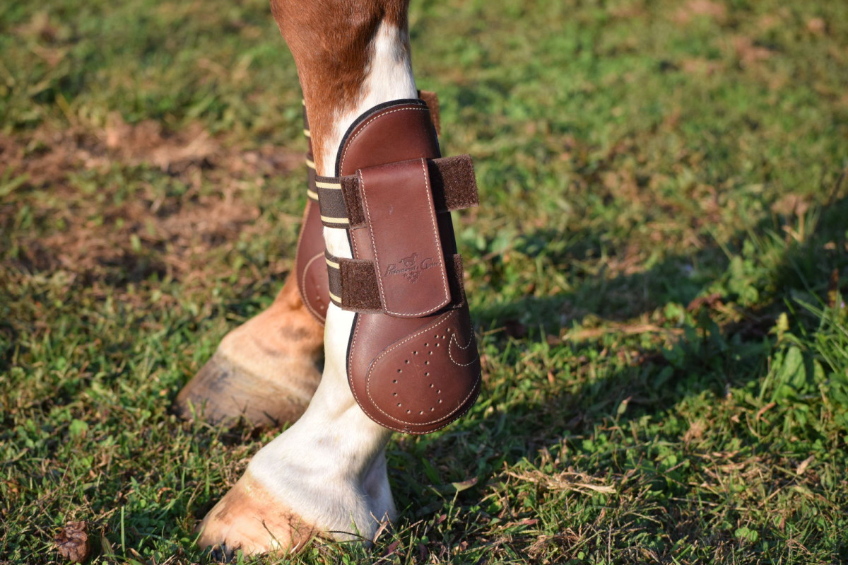 Product Review Professional’s Choice VenTECH Leather Open Front