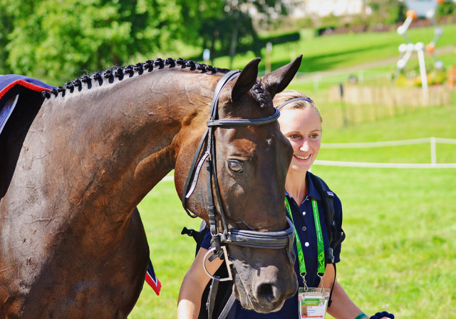 Lindsey Taylor and Shamwari 4 at WEG. Photo by Jenni Autry.