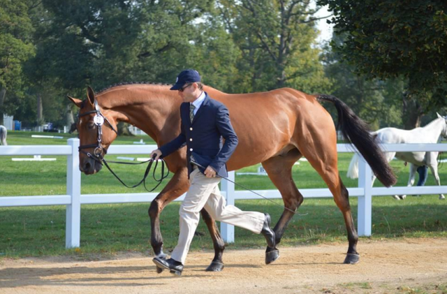 Phillip Dutton and Fernhill Fugitive. Photo courtesy of Samantha Clark.