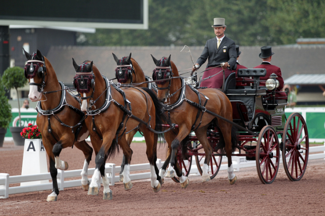 Chester Weber drives to dressage victory. Photo courtesy of Marie de Ronde-Oudemans/FEI. 