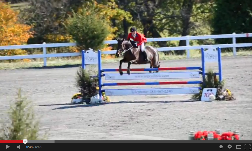 Tuesday Video from SpectraVET: Watch the Full PRO Bareback Gambler's Choice 
