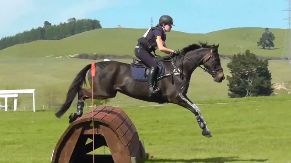 Friday Video from World Equestrian Brands: We Are Equestrians 