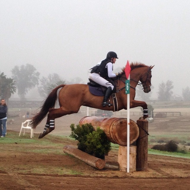 Katelyn Gurbich and Kaptain Jak competing in the Preliminary Rider division at FCHP. Photo via Lauren Billys on Facebook. 