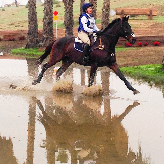 Marta Tabatabai aboard her own Court Jester, one of the few double clears in Senior Training at FCHP this past weekend. Photo from Marta's Facebook
