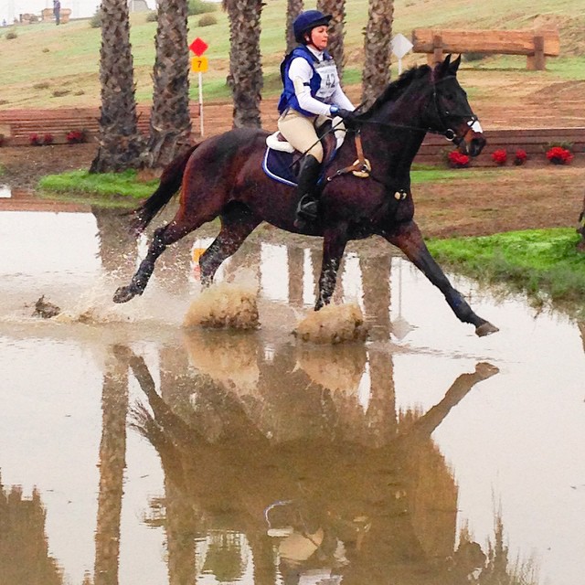 Marta Tabatabai aboard her own Court Jester, one of the few double clears in Senior Training at FCHP this past weekend. Photo from Marta's Facebook