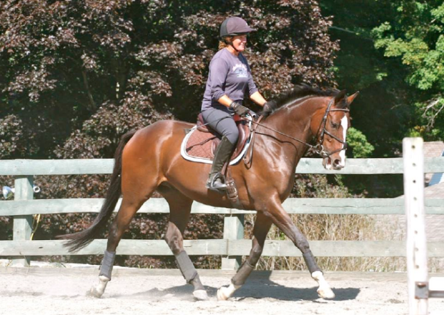 CANTER PA alum Bounissimo with his owner Amie Loring. Photo courtesy of CANTER PA.