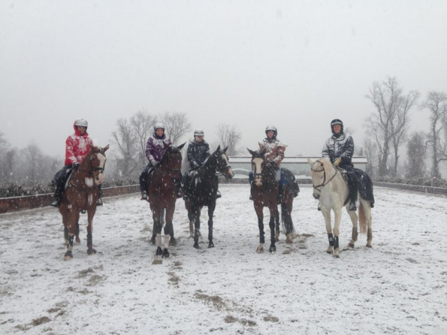 From left: Bradley Champagne and Neville Bardos, Katarina Lissett and Master Frisky, Caitlin Silliman and Steady Eddie, Mike Pen and Otis Barbotiere, and Boyd Martin and Crackerjack. Photo via Boyd Martin's Facebook page.