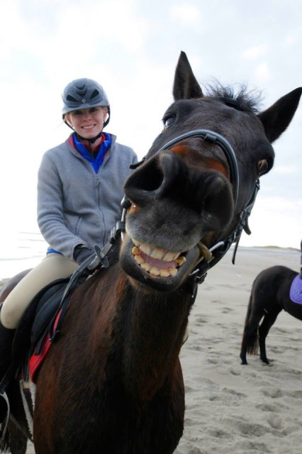 Horse Selfie!! Photo courtesy of Ann Grenier.
