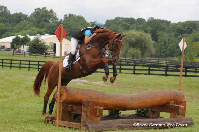 Leo learning to jump properly! Novice at Surefire. Photo courtesy of Brant Gamma Photography. 