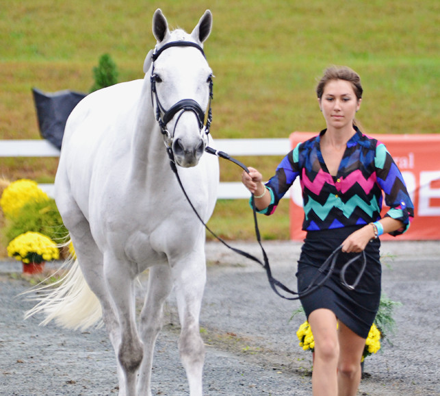 Eventing 25 Sarah Dunkerton Knows Where She Wants To Go Eventing