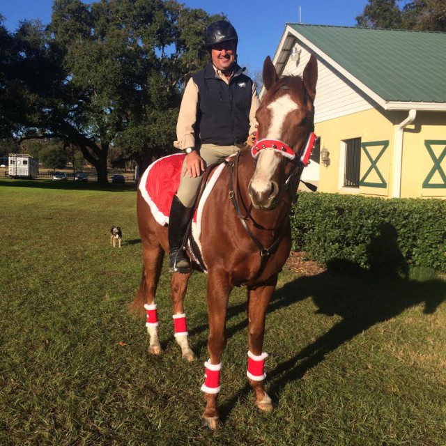 David O'Connor is certainly ready for the holiday! Photo via USEF High Performance Facebook page.