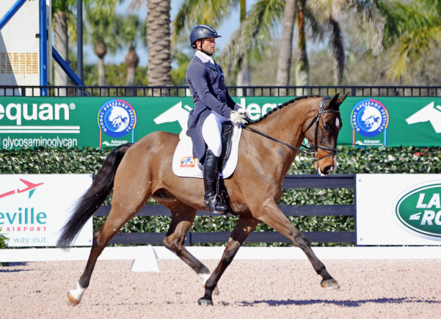 Michael Pollard and Cyrano at the 2015 Wellington Eventing Showcase. Photo by Jenni Autry. 