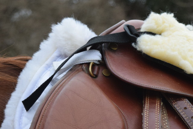 The Six Point Saddle Pad also attaches to the D-rings on my saddle, rather than the billet straps, as traditional pads do - and it is guaranteed to stay in place - Photo by Lorraine Peachey